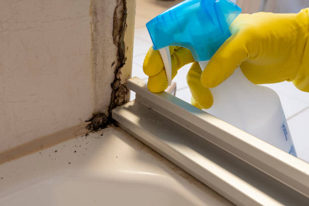 Best Mold Testing and Inspection Services in Sulphur, LA